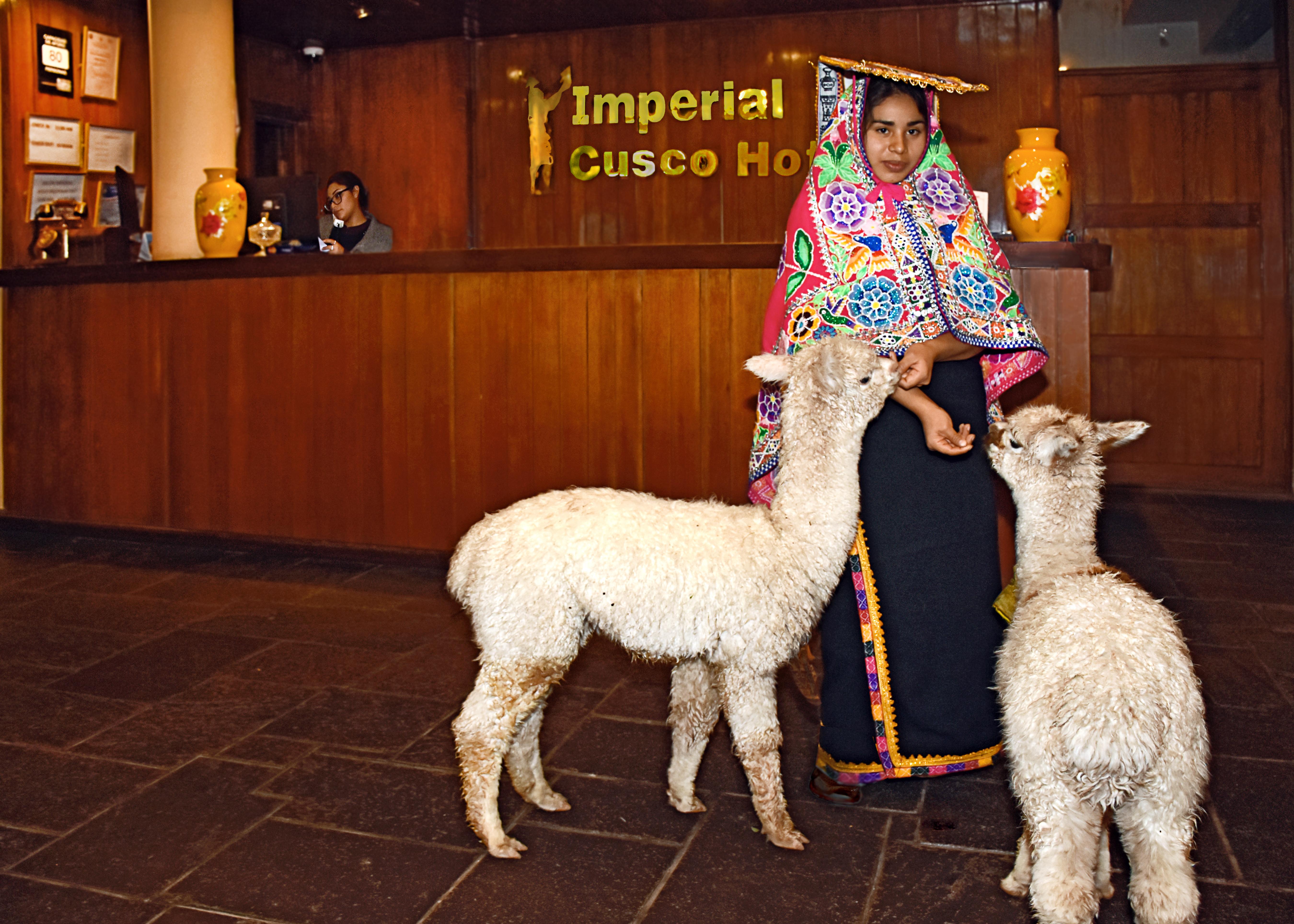 Imperial Cusco Hotel Exterior photo