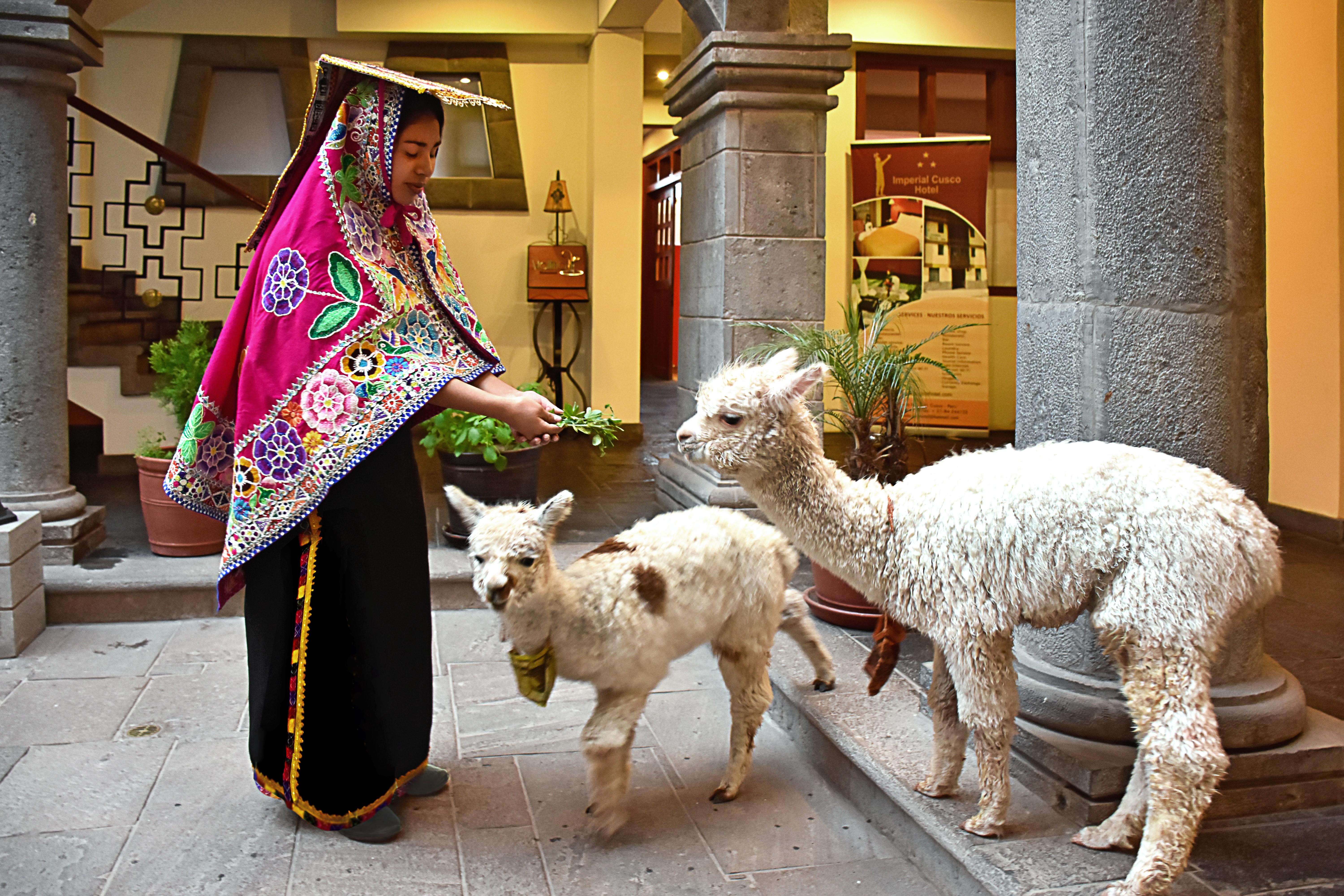 Imperial Cusco Hotel Exterior photo